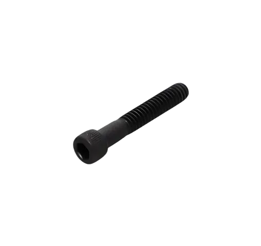 C064807 | Screw